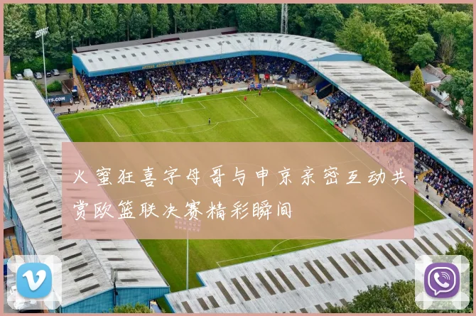 火蜜狂喜字母哥与申京亲密互动共赏欧篮联决赛精彩瞬间